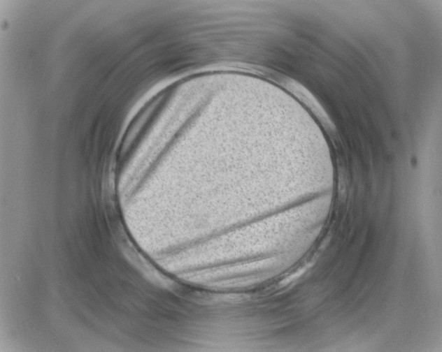 X0000082721292200702232312