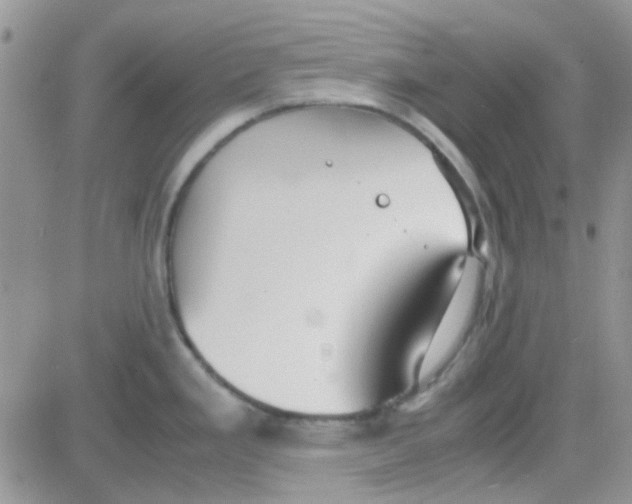 X0000082721293200702232312