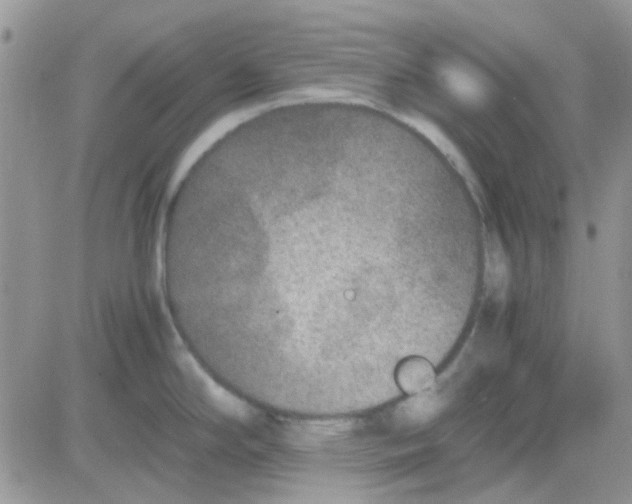 X0000082721294200702232312