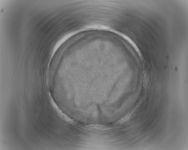 X0000082721295200702232312