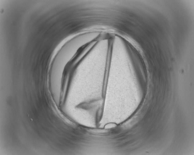 X0000082721296200702232312