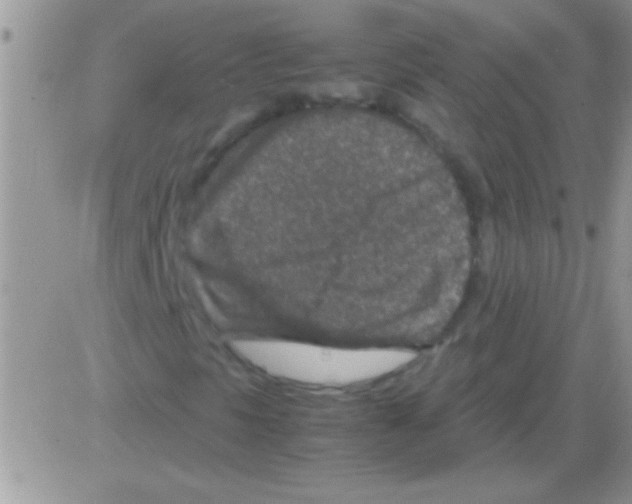 X0000082721297200702232311