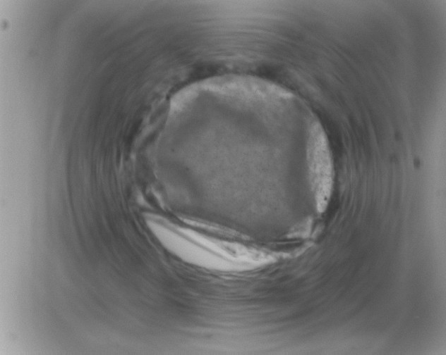 X0000082721298200702232311