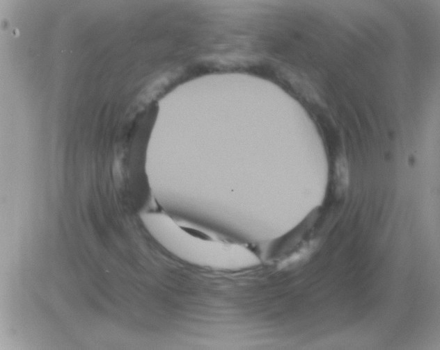 X0000082721300200702232311