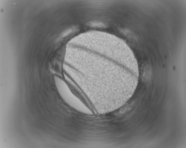 X0000082721301200702232311