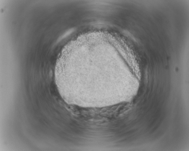 X0000082721302200702232311