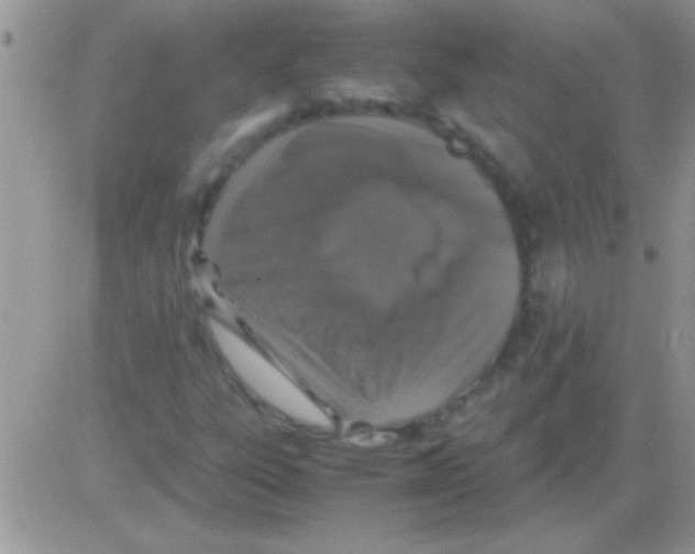 X0000082721303200702232311