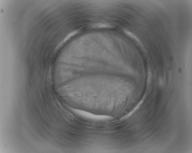 X0000082721305200702232311