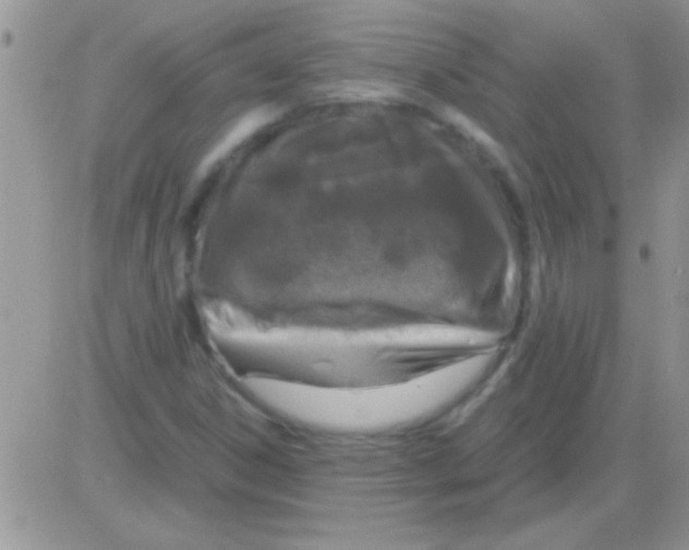 X0000082721306200702232311