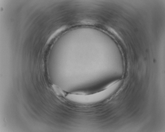 X0000082721307200702232311