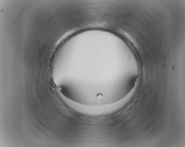 X0000082721308200702232311