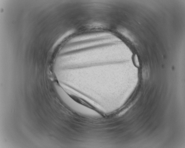 X0000082721309200702232311