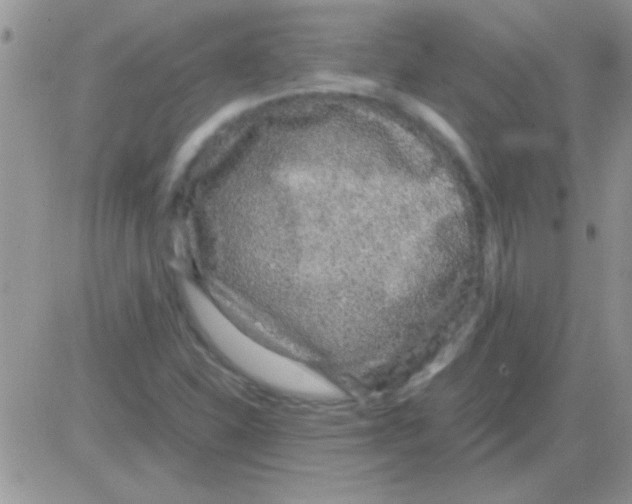 X0000082721310200702232311