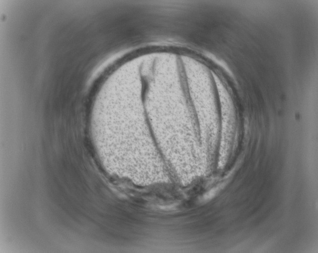 X0000082721311200702232311