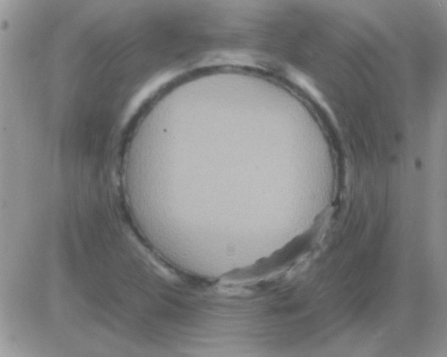 X0000082721312200702232311