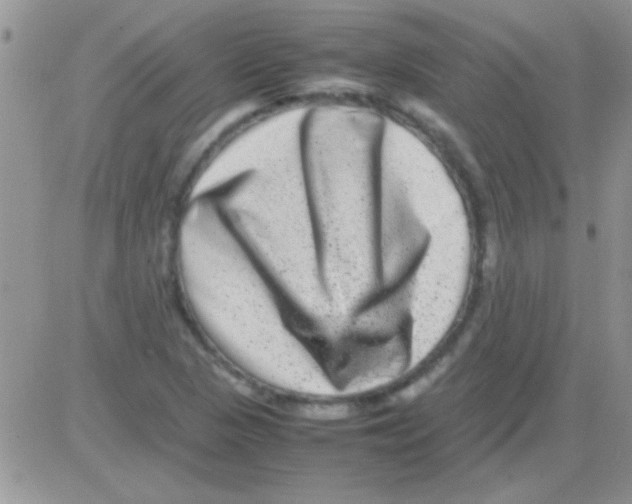 X0000082721313200702232311