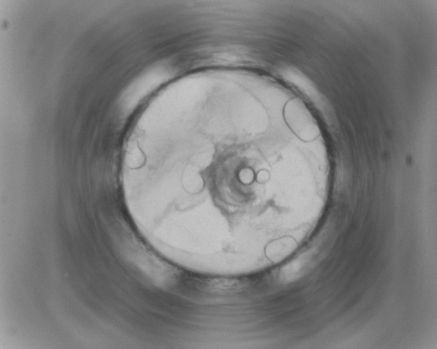 X0000082721314200702232311