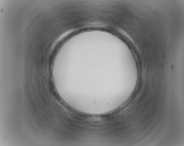 X0000082721315200702232311