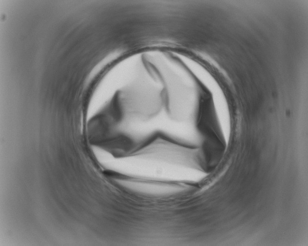 X0000082721317200702232311