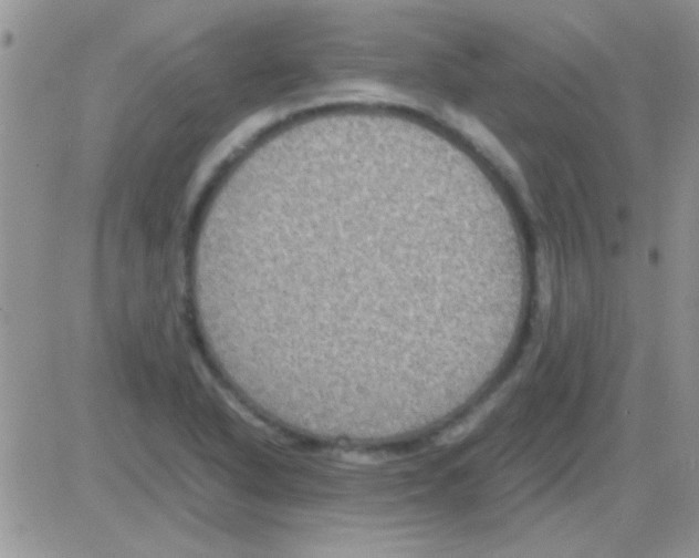 X0000082721318200702232311