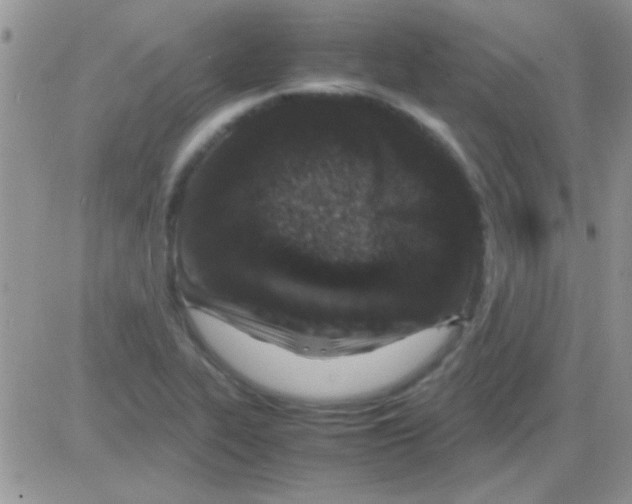 X0000082721319200702232311