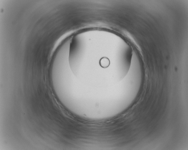 X0000082721320200702232311