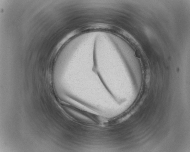 X0000082721321200702232311