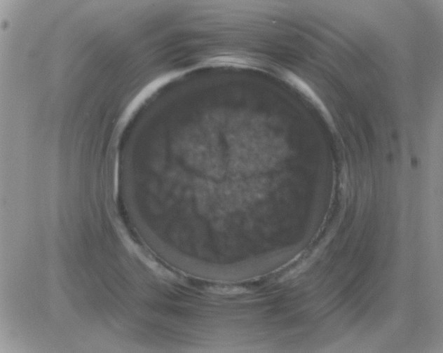 X0000082721323200702232311