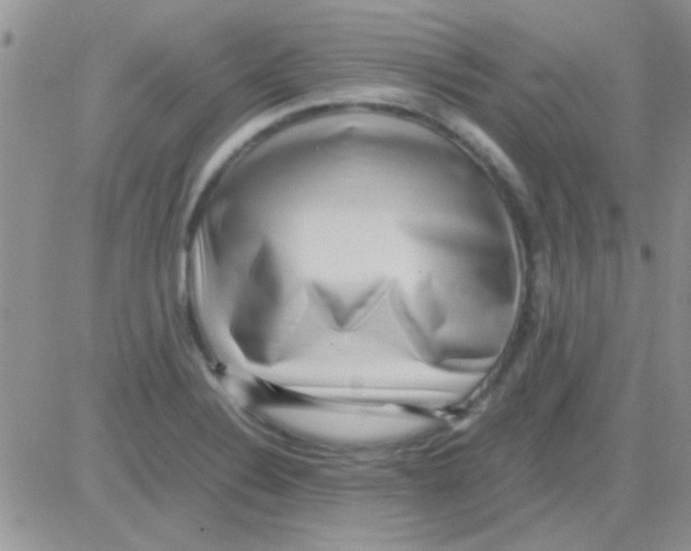 X0000082721324200702232311