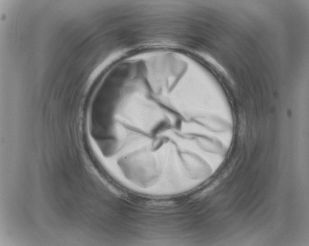 X0000082721325200702232311