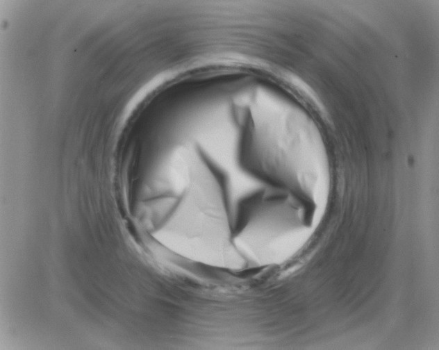 X0000082721326200702232311