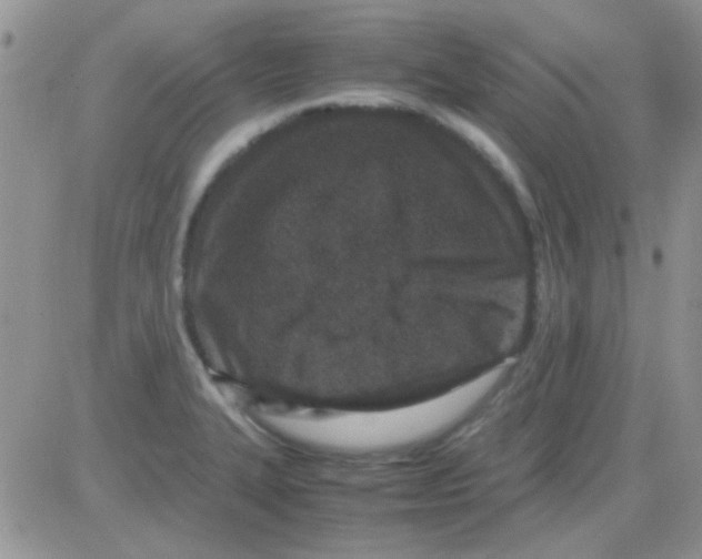 X0000082721327200702232311