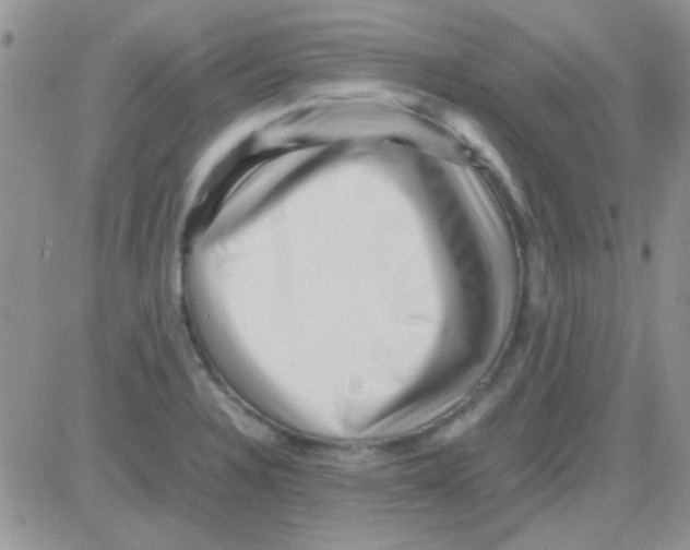 X0000082721328200702232311