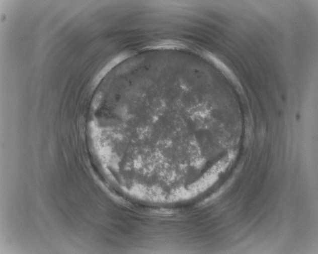 X0000082721329200702232311