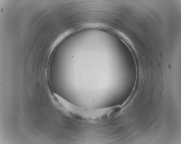 X0000082721330200702232311