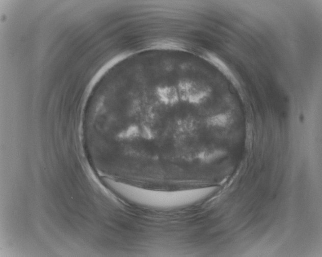 X0000082721331200702232311