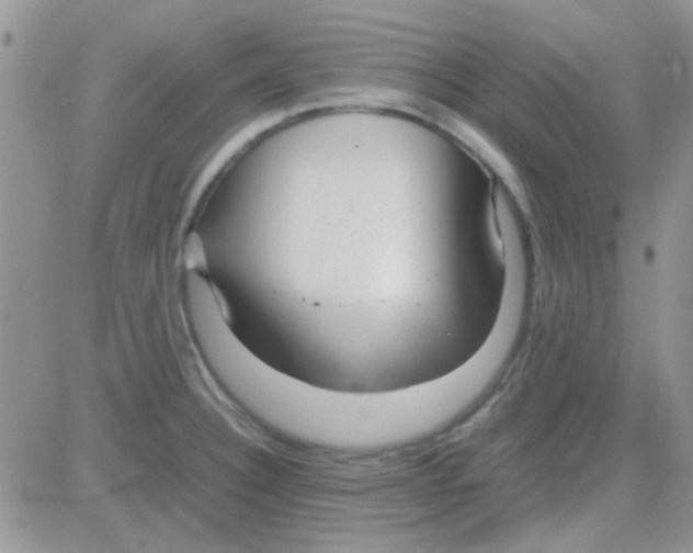 X0000082721332200702232311