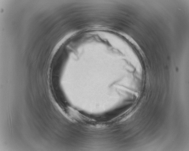 X0000082721333200702232312