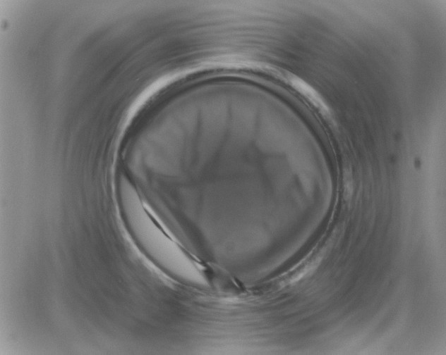 X0000082721334200702232312