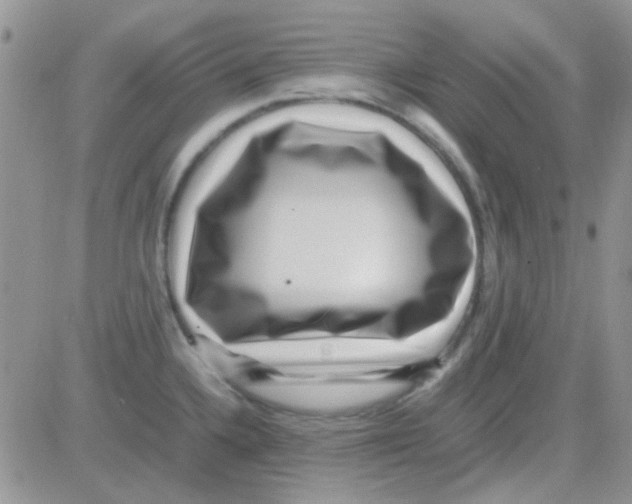 X0000082721336200702232312