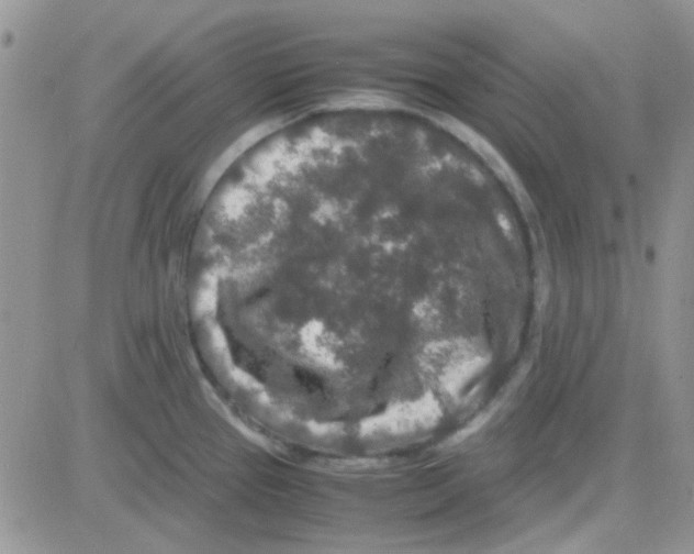 X0000082721337200702232312