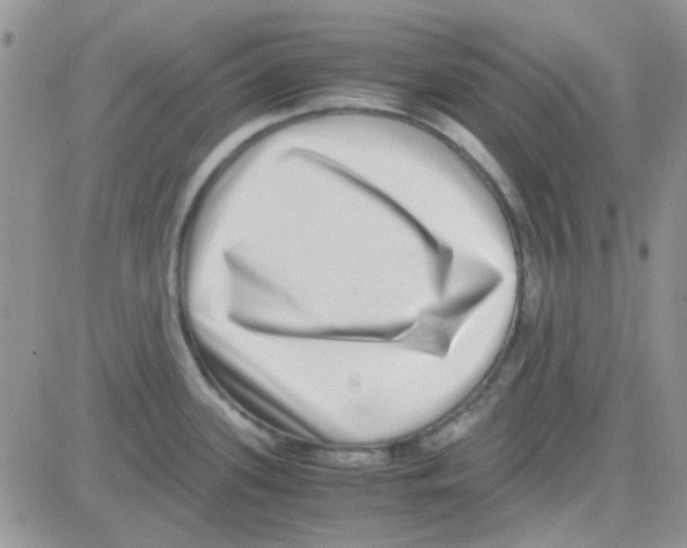 X0000082721339200702232312