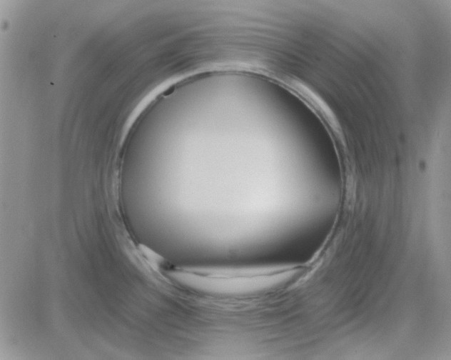 X0000082721340200702232312