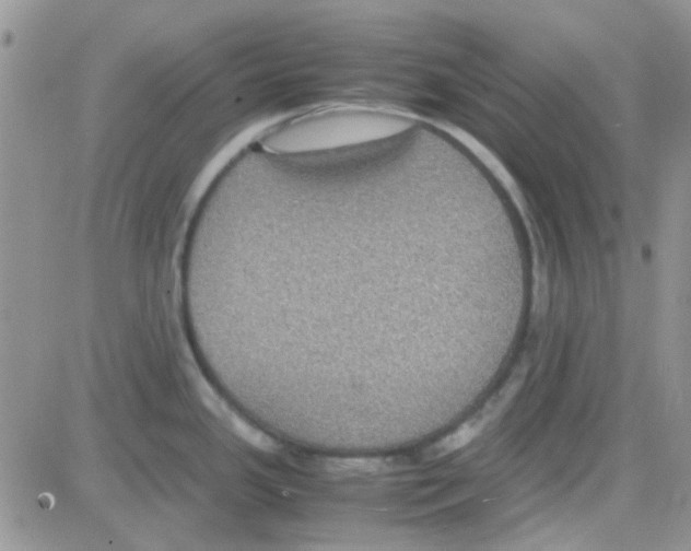 X0000082721341200702232312