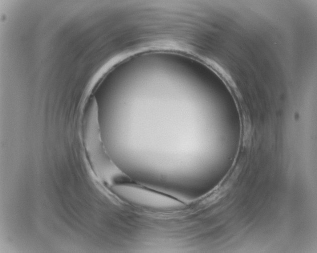 X0000082721342200702232312