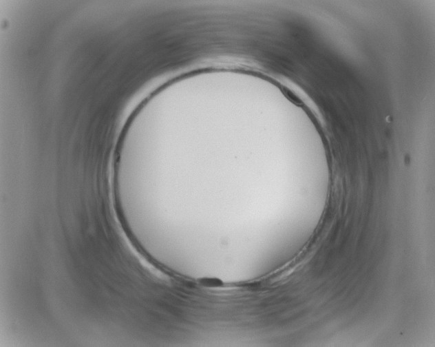 X0000082721343200702232312