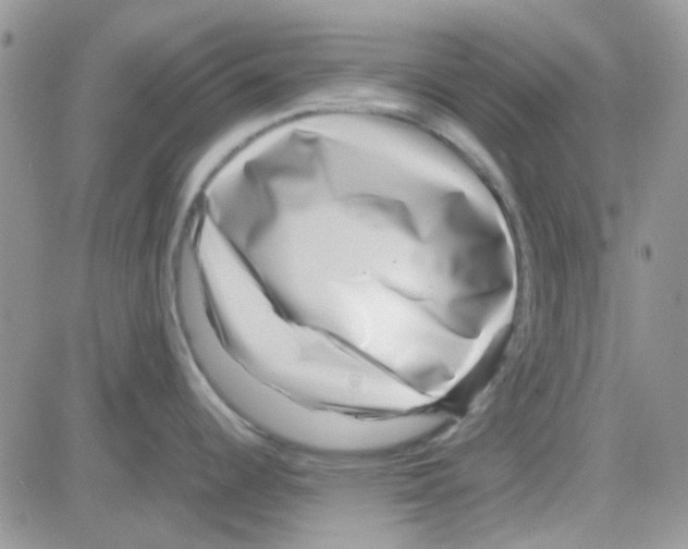 X0000082721344200702232312