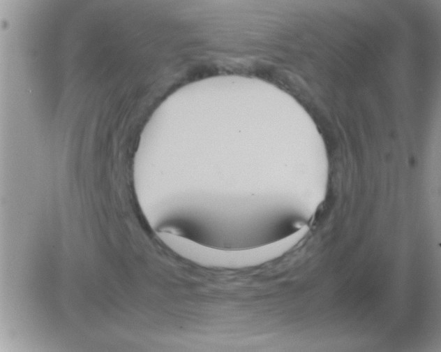 X0000082721345200702232311