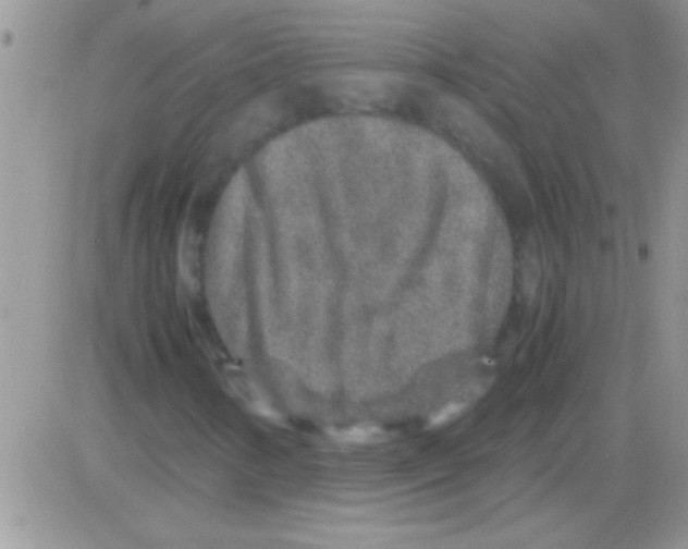 X0000082721346200702232311