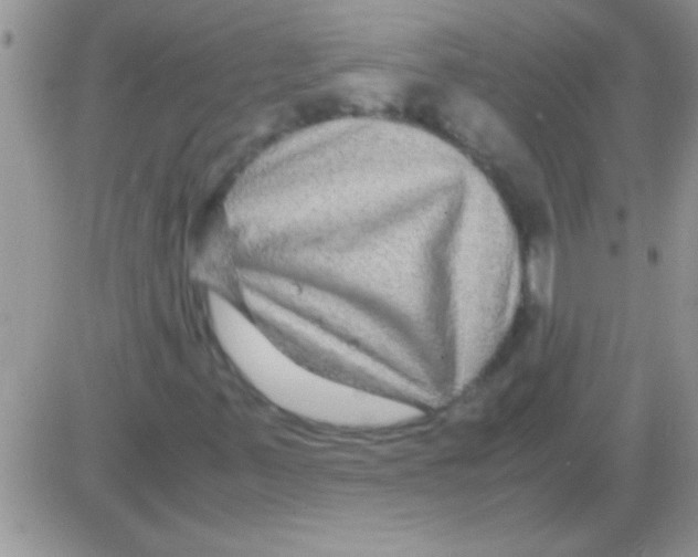 X0000082721347200702232311